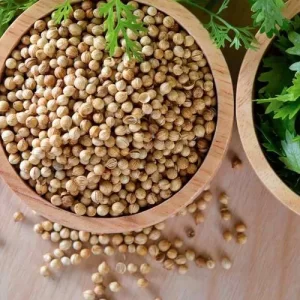 CORIANDER-SEEDS---WHOLE