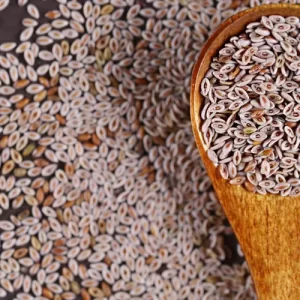 PHYSSIUM-(ISABGOL)---SEEDS