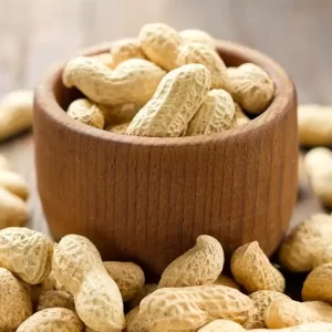 Peanuts Inshell 20--22--24