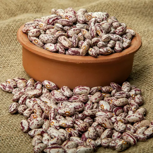 SPECKLED-KIDNEY-BEANS