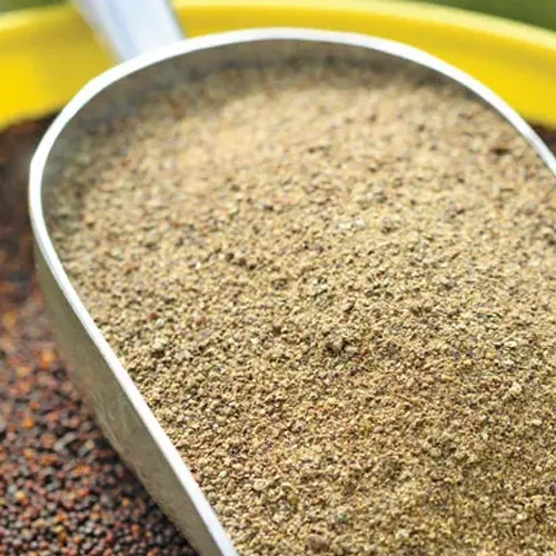 rapesed-canola-meal