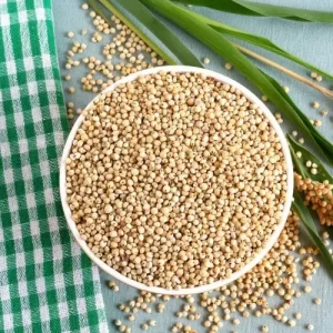 sorghum